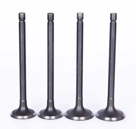 Exhaust Valves