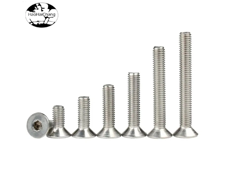 Stainless Steel Cold Headed Screw 01