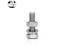 304 Stainless Steel Screw Nut Set with Washers